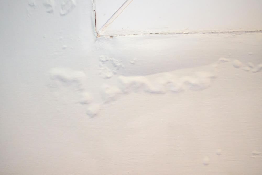 Wall with water leak