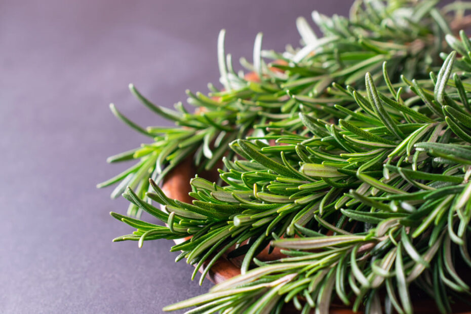 9 Spiritual Benefits of Rosemary Good Luck? Yes!
