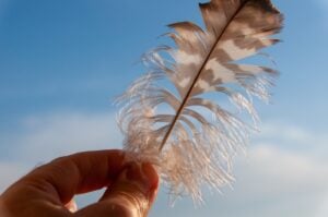 Finding Feathers on the Ground: 9 Spiritual Meanings