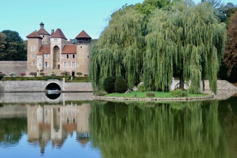 What do Willow Trees Symbolize? 9 Spiritual Meanings