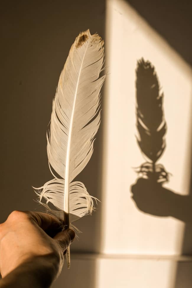 11 Meanings Of Finding A White Feather Spiritual Messages