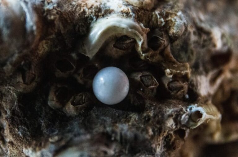 What Does The Pearl Symbolize 11 Spiritual Meanings