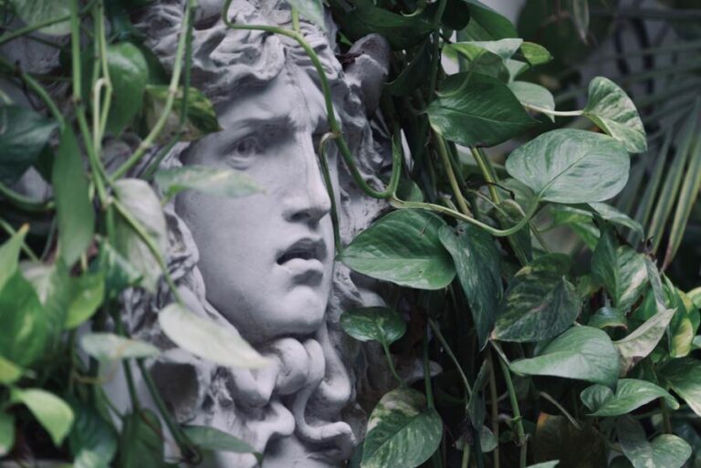 What does Medusa Symbolize? 11 Spiritual Meanings