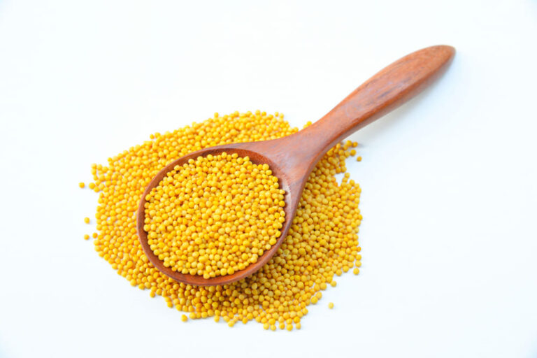 Mustard Seed Spiritual Meaning Symbolism and 9 Messages